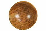 Colorful, Polished Coquina Jasper Bowl #297637-1